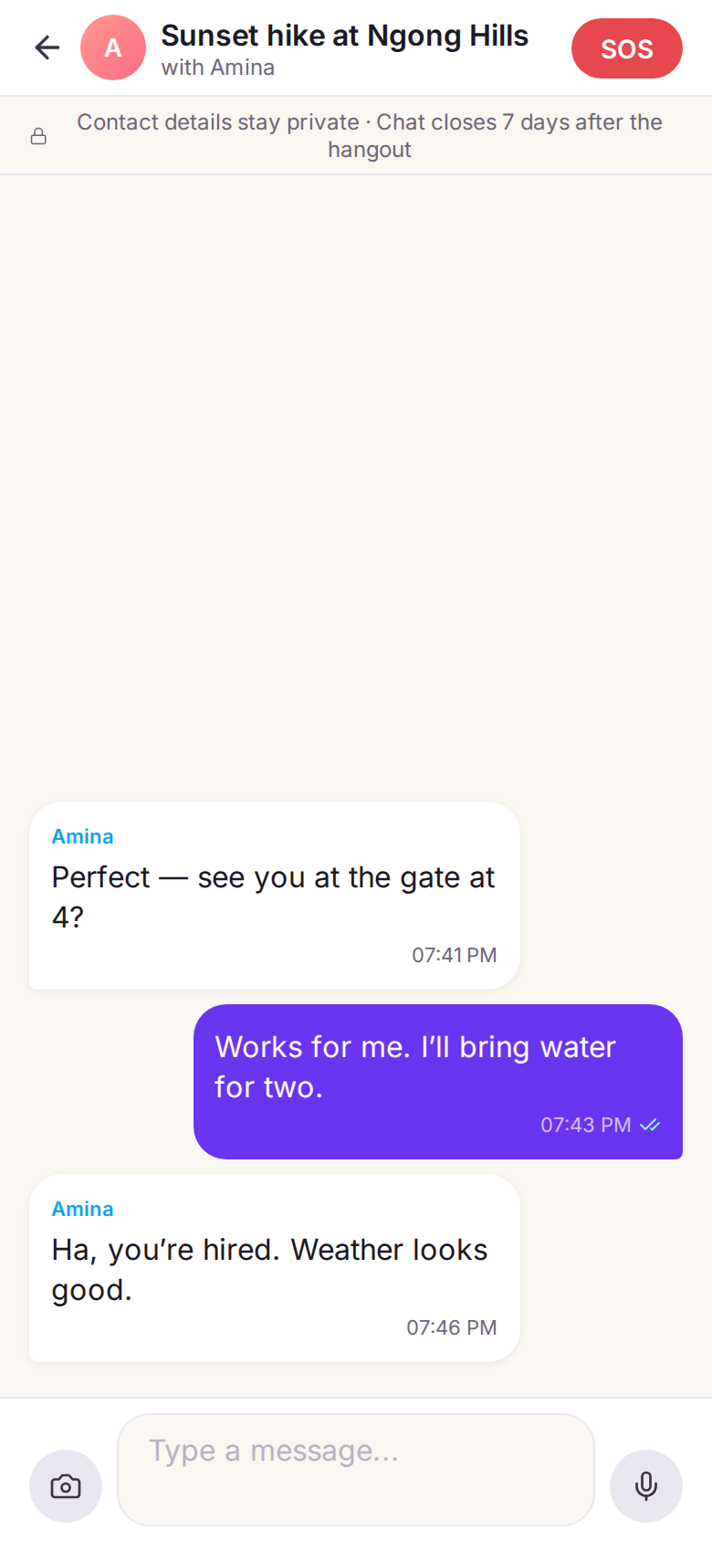 A chat about a hike, with a banner saying contact details stay private and the chat closes seven days after the hangout.